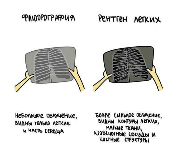 Полезные подсказки о вещах и понятиях, которые люди часто путают