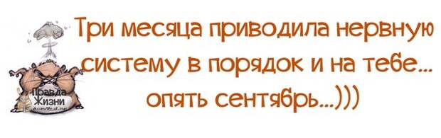 Наконец то сети приведены в порядок. Три месяца восстанавливала нервную. Привести нервы в порядок. 3 Месяца приводила нервную систему в порядок. Подлечить нервную систему.