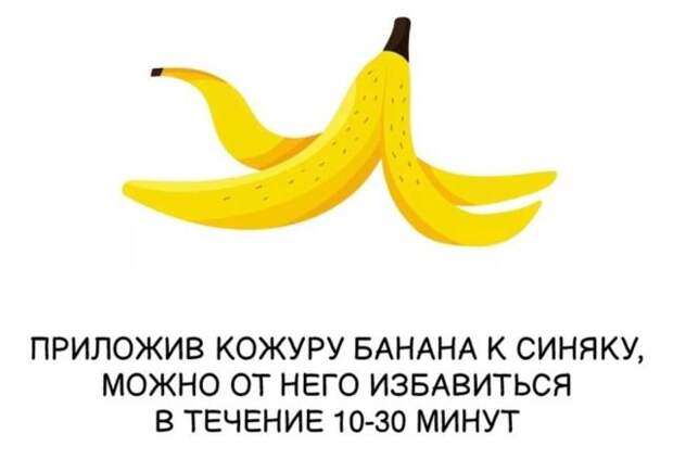 Интересные короткие факты на все случаи жизни