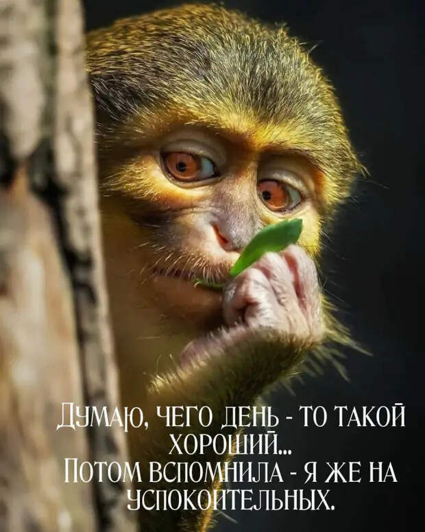 Продавец женщине в магазине:  — Вам чем-нибудь помочь?...