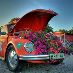 Красная клумба из автомобиля