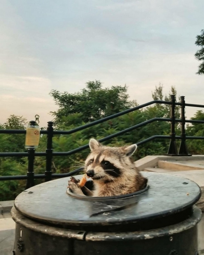 Фотоподборка