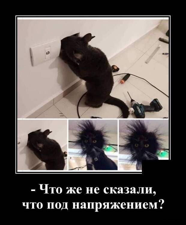 www.vsyako.net
