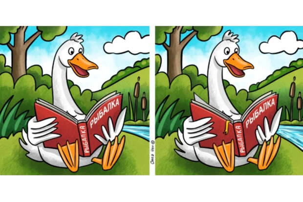 Утка ушла в теорию, а вам — практика: найдите 11 отличий на картинках