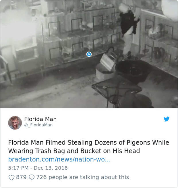 Florida-Man-Headings