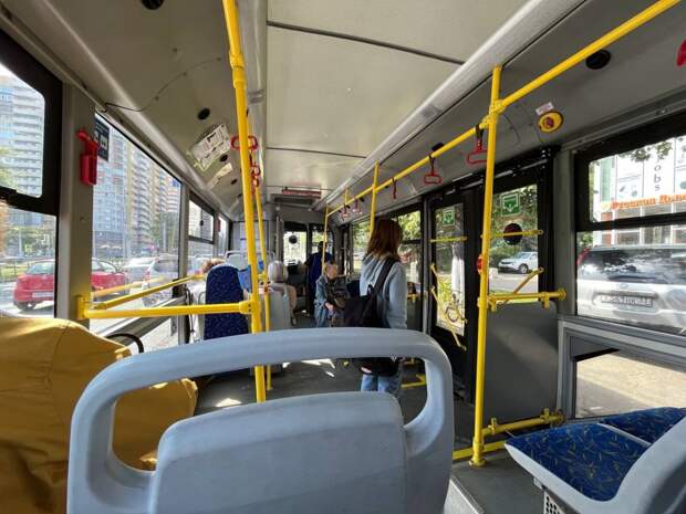 Автобусы маршрута №117 «Тула - Щекино» выполнили только 29 из 45 рейсов