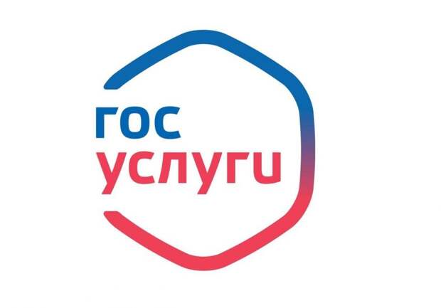 Госуслуги. Фото: УВД