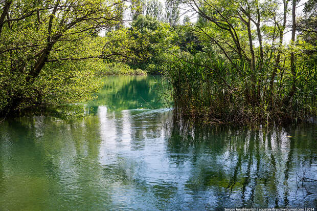 Самые красивые водопады Европы в фотографиях Сергея Анашкевича