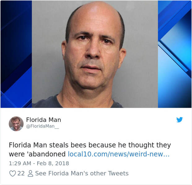Florida-Man-Headings