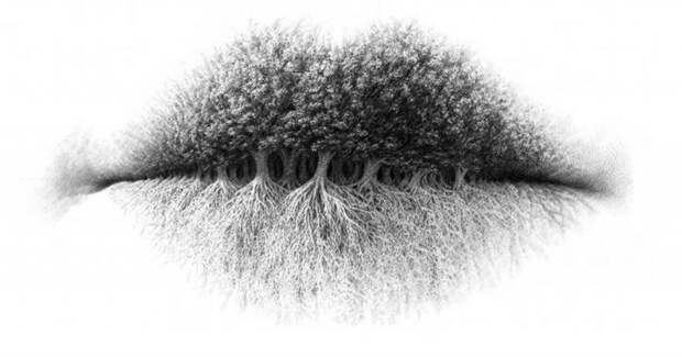 Достаточно внимательно посмотреть на картинку: первое, что увидите, расскажет нечто важное о личной жизни