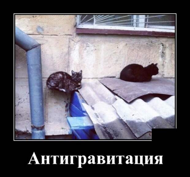 Демотиваторы (20 фото)