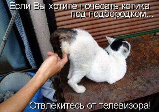 Забавности с надписями