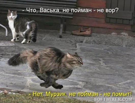2b9fd47bb2bff22b08781101628_prev