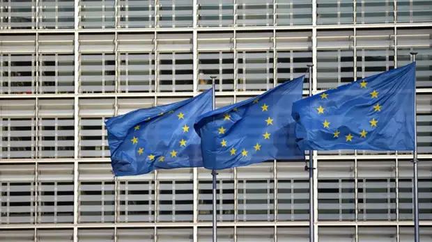 ЕС вводит антидемпинговые пошлины на берёзовую фанеру из России