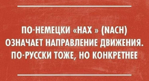 Подборка метких высказываний, которые подарят вам позитивный настрой