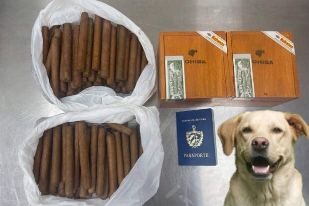 Гражданина Кубы, прилетевшего в Россию с запасом сигар, задержали в Шереметьево