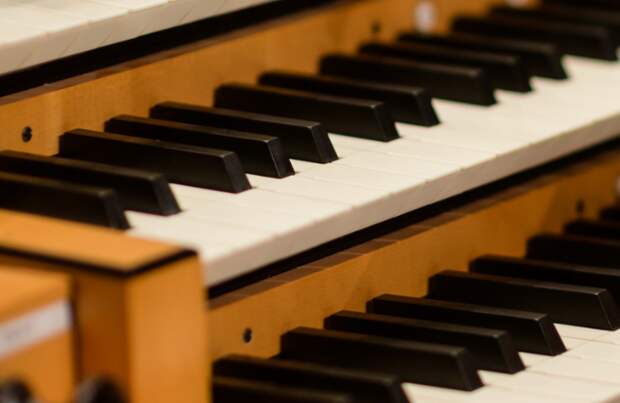 В Филармонии-2 стартовал первый органный фестиваль