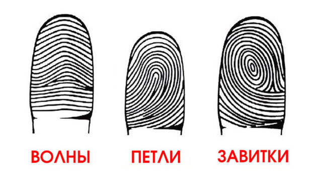 Посмотрите на свои руки: а вдруг вы гений?