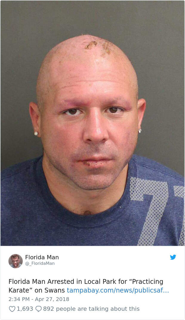 Florida-Man-Headings