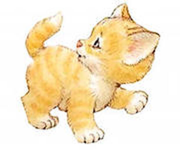 Сказка о дружбе короткая