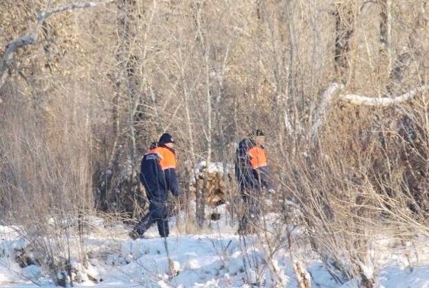Волонтер анонсировал возобновление поисков семьи Усольцевых