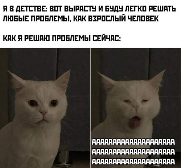 Смешные картинки 14 сентября 2021 года