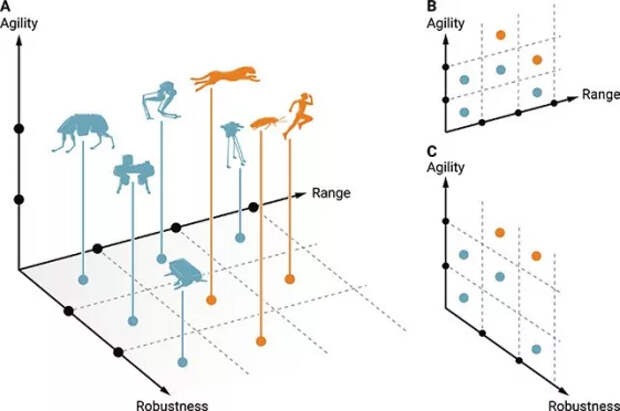 Почему роботы не могут обогнать самых быстрых животных? Ответ вас удивит