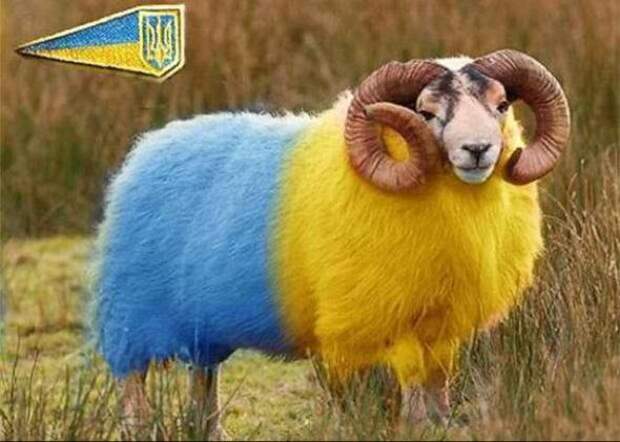 Сталинград 2.0