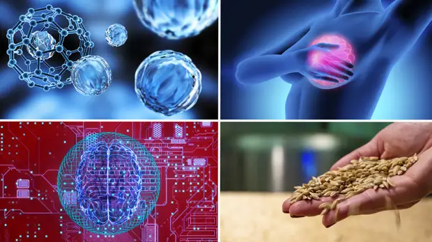 «По результатам глубокой экспертизы»: объявлены лауреаты премии президента РФ молодым учёным за 2020 год