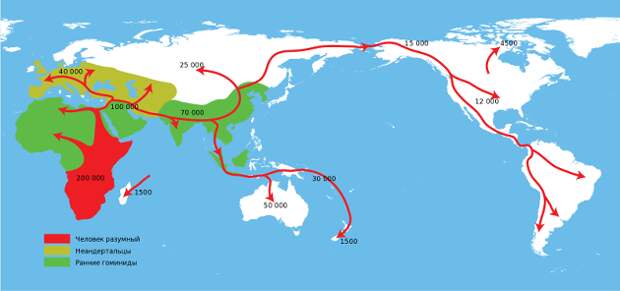 Маршруты расселения разумных людей по планете