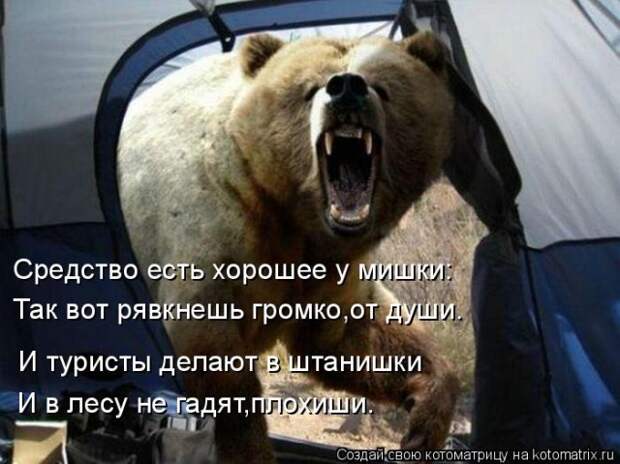Лучшие котоматрицы недели (50 фото)