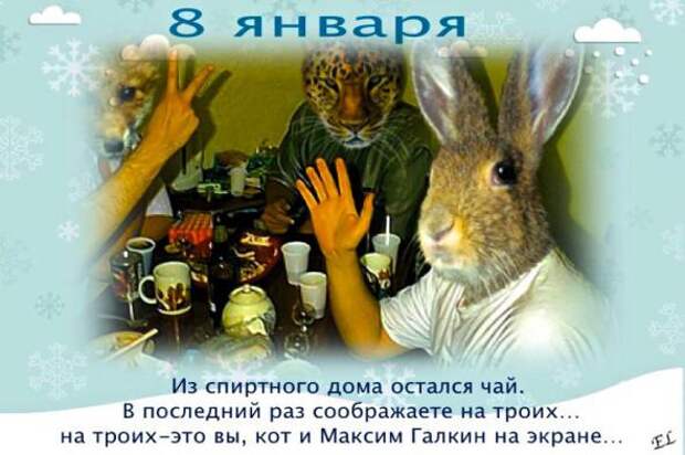 Весело, весело, встретим Новый Год ! Ох !