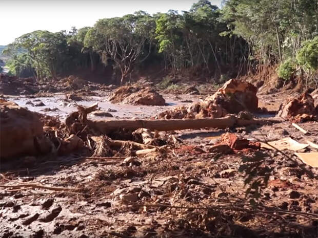 https://image.newsru.com/v2/02/2019/02/8/81641995416e7db1985d463c3f660a8e.jpg