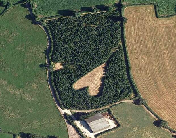 Вот такое поле вспахал фермер в Южном Глостершире, Великобритания в честь его покойной жены