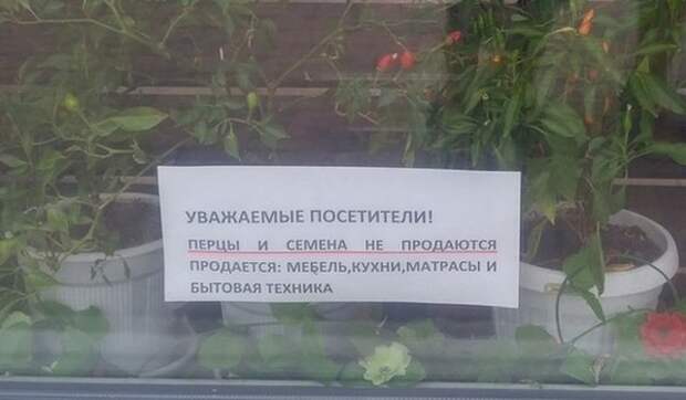 Креативности и юмору все плоскости покорны Креативности и юмору все плоскости покорны