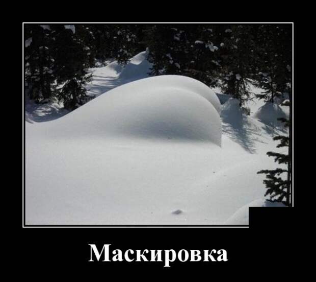 www.vsyako.net