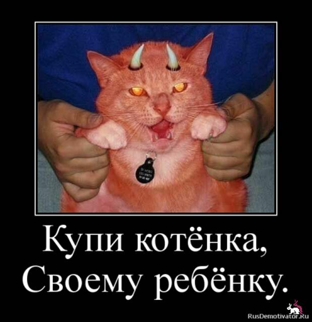 Демотиваторы и мотиваторы. Демки пятница Демотиваторы и мотиваторы. Демки пятница