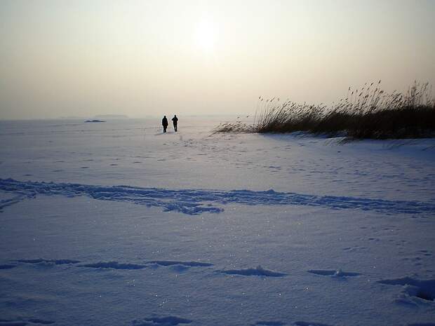 Водоем. Фото: pixabay.com