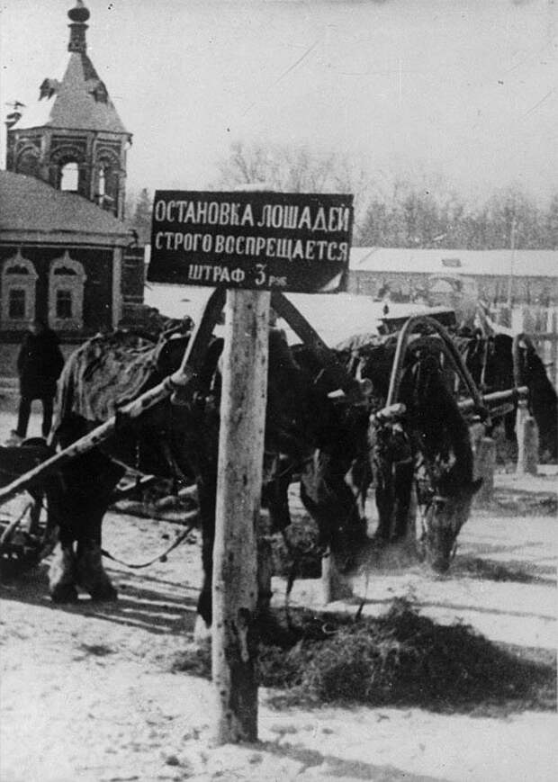 Картинки. Картинки.