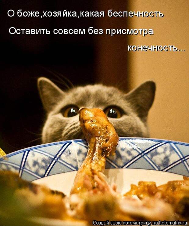Котоматрица: О боже,хозяйка,какая беспечность Оставить совсем без присмотра  конечность...