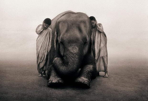 Люди и животные в фотографиях Gregory Colbert