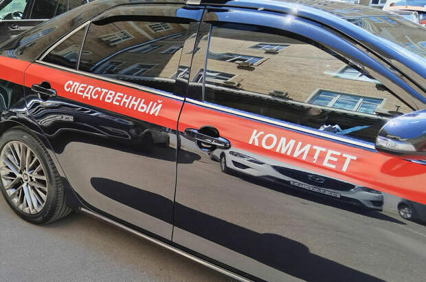 СК возбудил дело после смерти младенцев в роддоме Новокузнецка