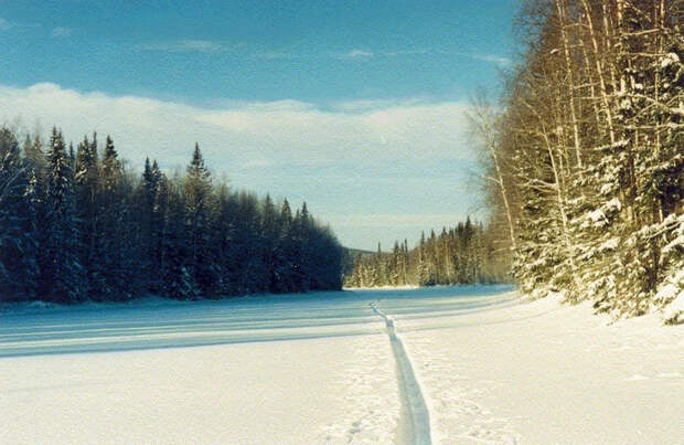 Фото из архива Алексея Коськина.