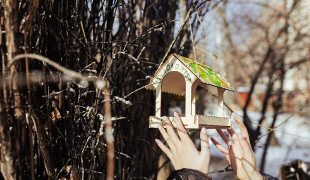 Сергунина: Волонтерский корпус для помощи орнитологам создадут в Москве