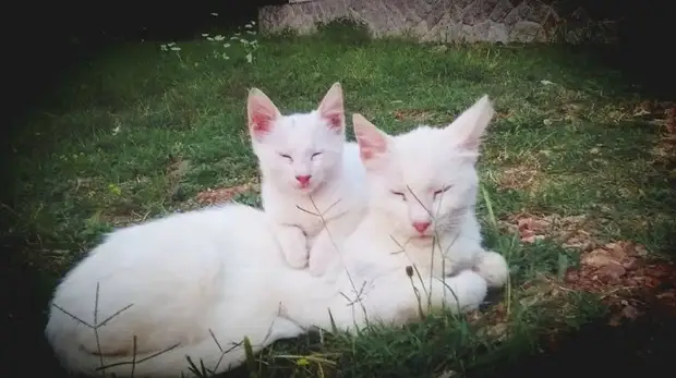 : 50      - 19 - BigPicture.ru