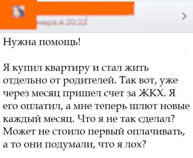 О чём болтают пользователи сети. Свежие приколы