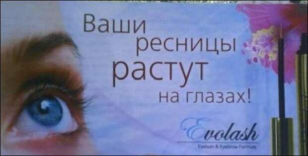 Подборка смешных надписей и объявлений