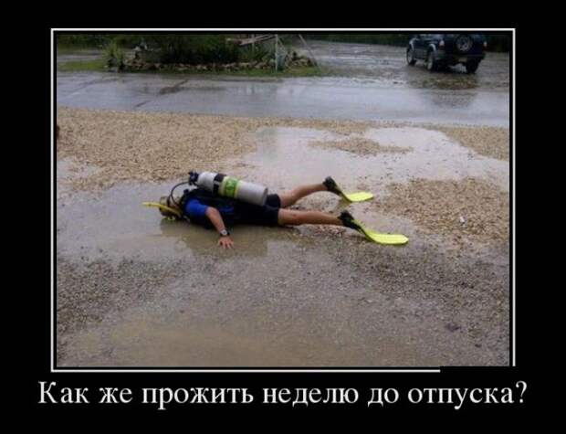Демотиваторы (30 фото)