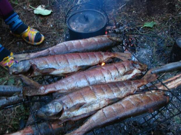 Рыбачим в долине реки Туралыг. Хакасия Хакасия, путешествие, рыбалка, туралыг, туризм