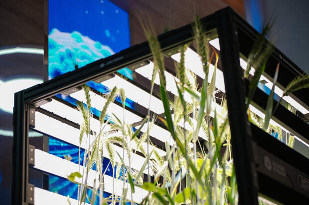 Биоэкопоселения и технологии: как живут удалённые территории России